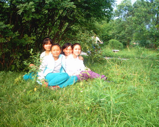 2006  (94)